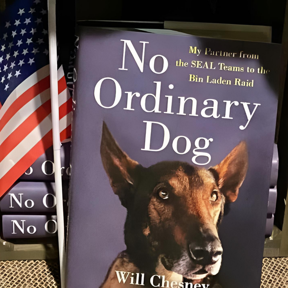 No Ordinary Dog - Cairo