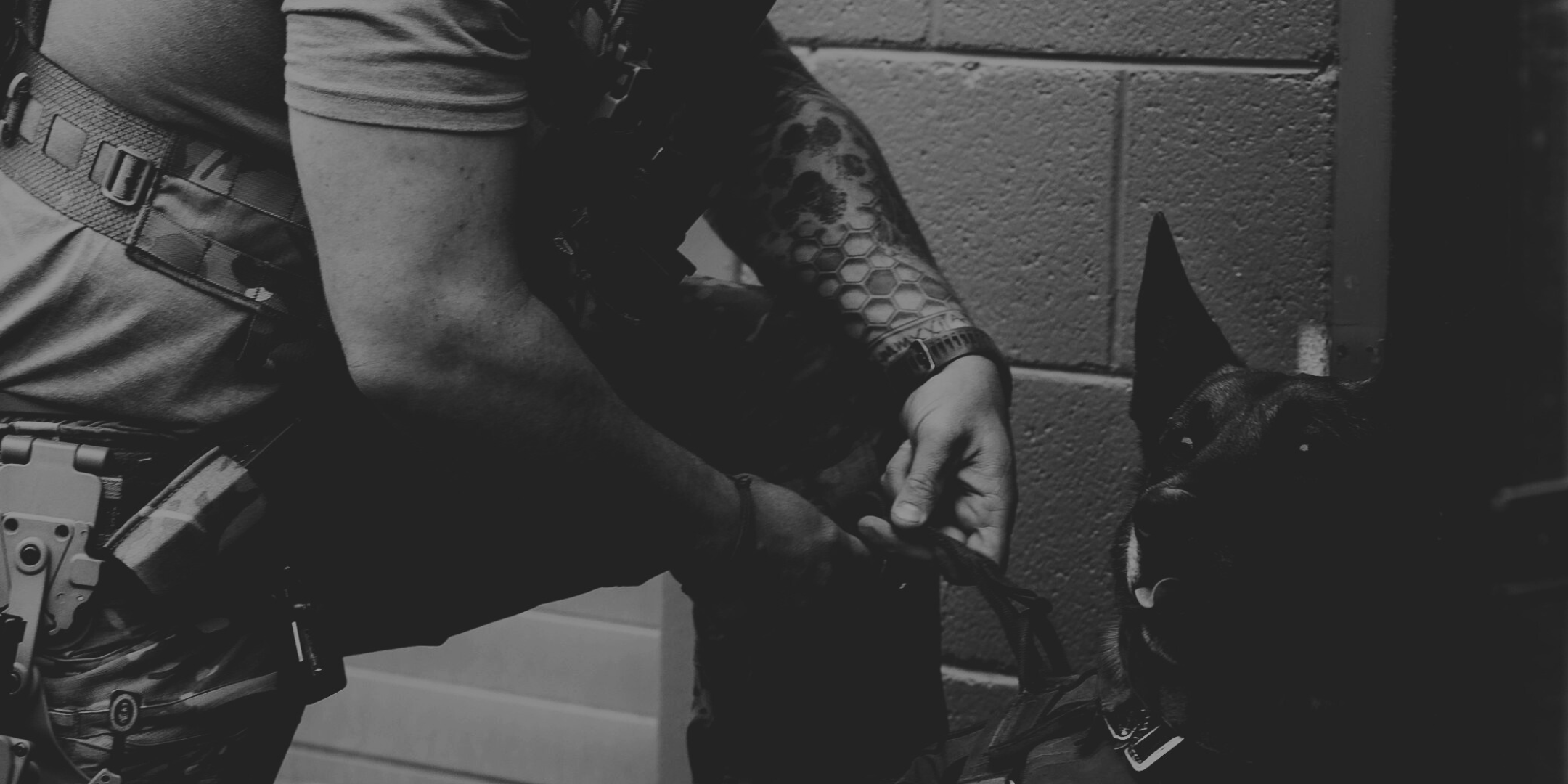 Sheepdog Engage PTT Mic