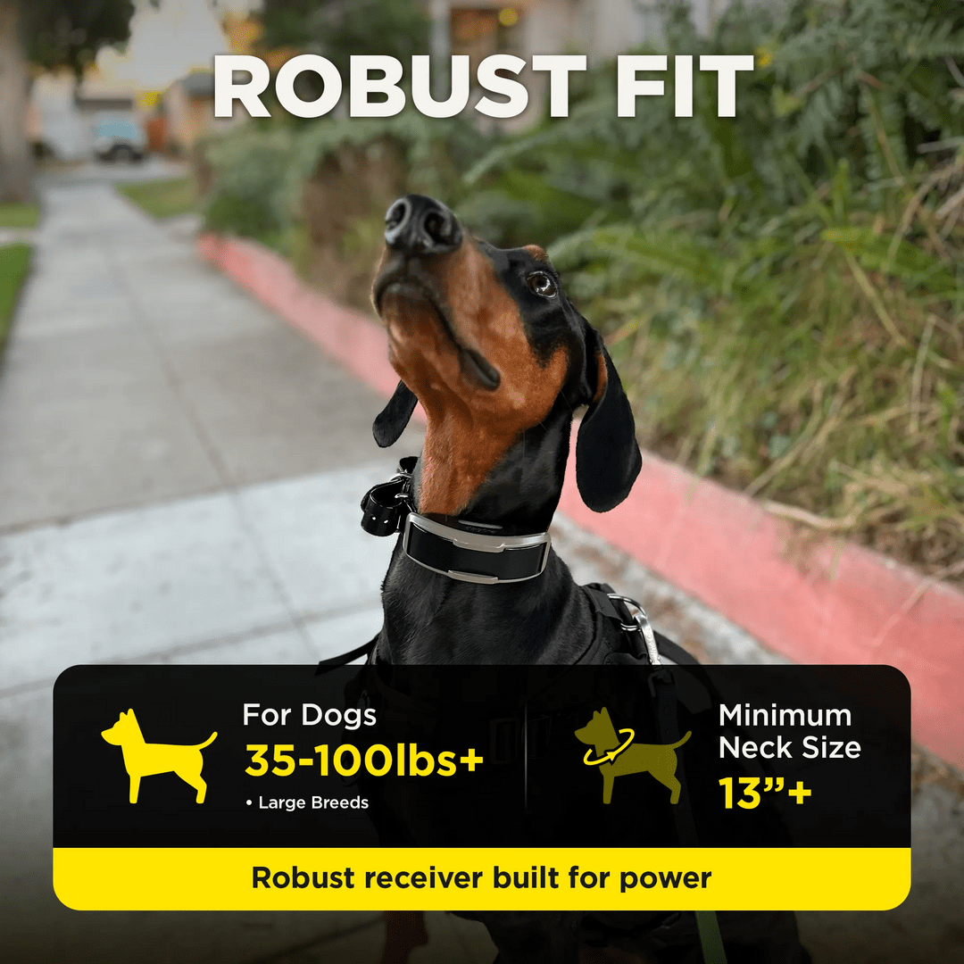 Dogtra 1900X 1-Dog Unit - Sheepdog Microphones