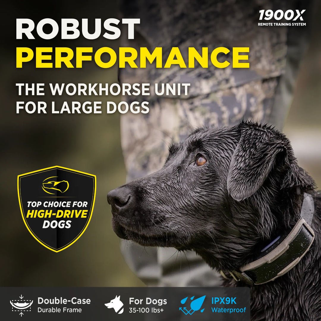 Dogtra 1900X 1-Dog Unit - Sheepdog Microphones