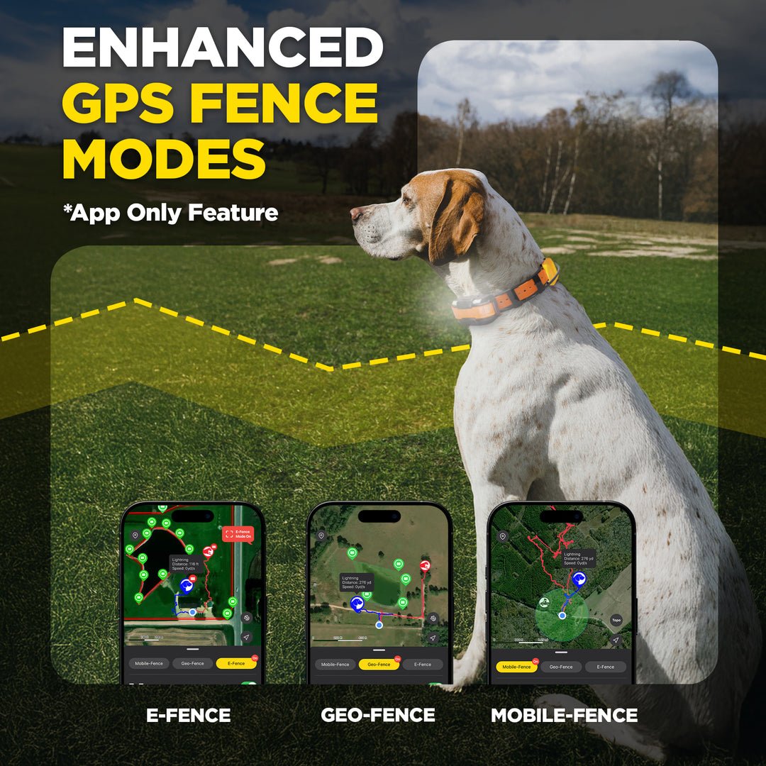 Dogtra PATHFINDER2 Compass - Sheepdog Microphones