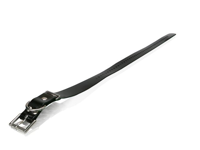 Dogtra Replacement Strap (1'x30"), Black - Sheepdog Microphones