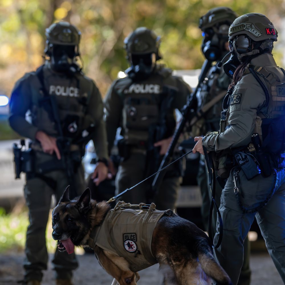 Zero9 K9 E - Collar Remote Case, Dogtra 200 and 1900S - Sheepdog Microphones