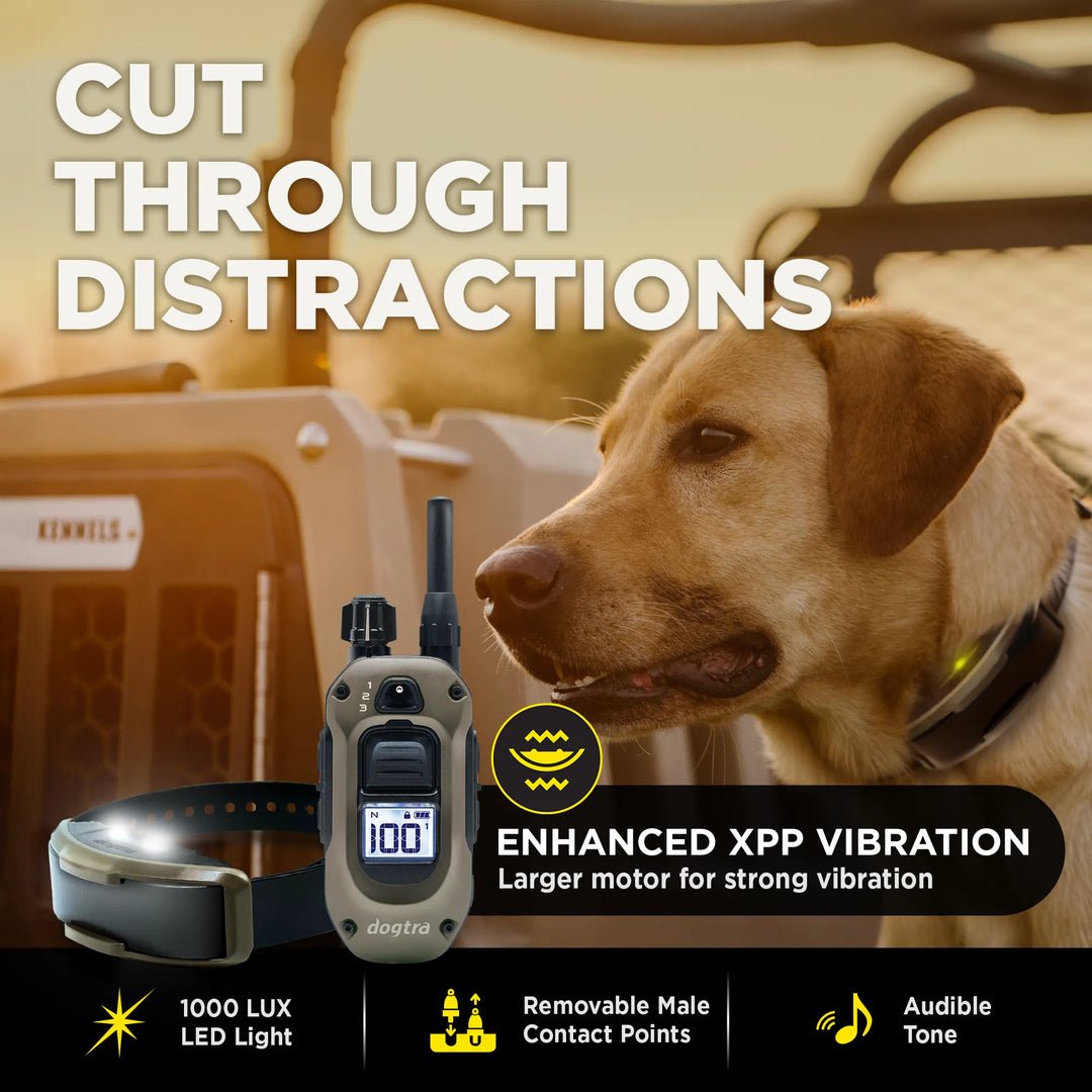 Dogtra 1900X 1-Dog Unit - Sheepdog Microphones