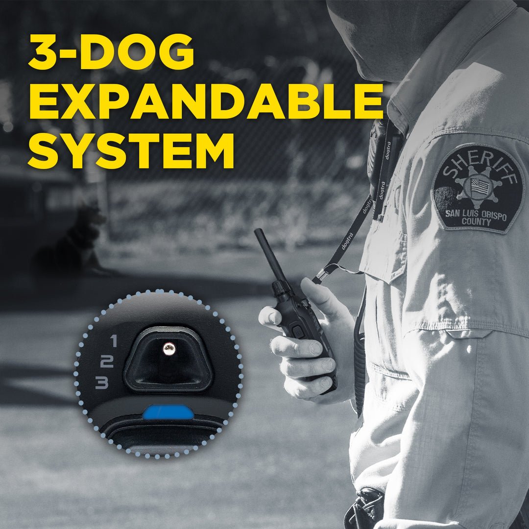 Dogtra 1900X Black Edition 1-Dog Unit - Sheepdog Microphones