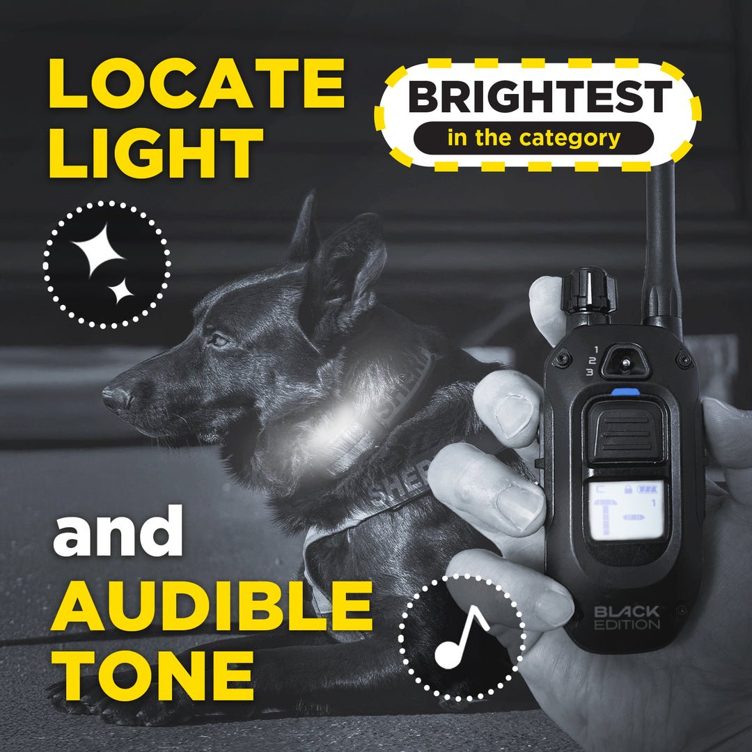 Dogtra 1900X Black Edition 1-Dog Unit - Sheepdog Microphones