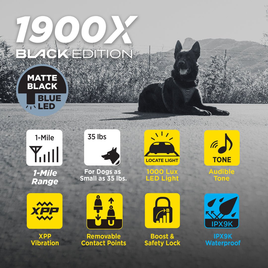 Dogtra 1900X Black Edition 1-Dog Unit - Sheepdog Microphones