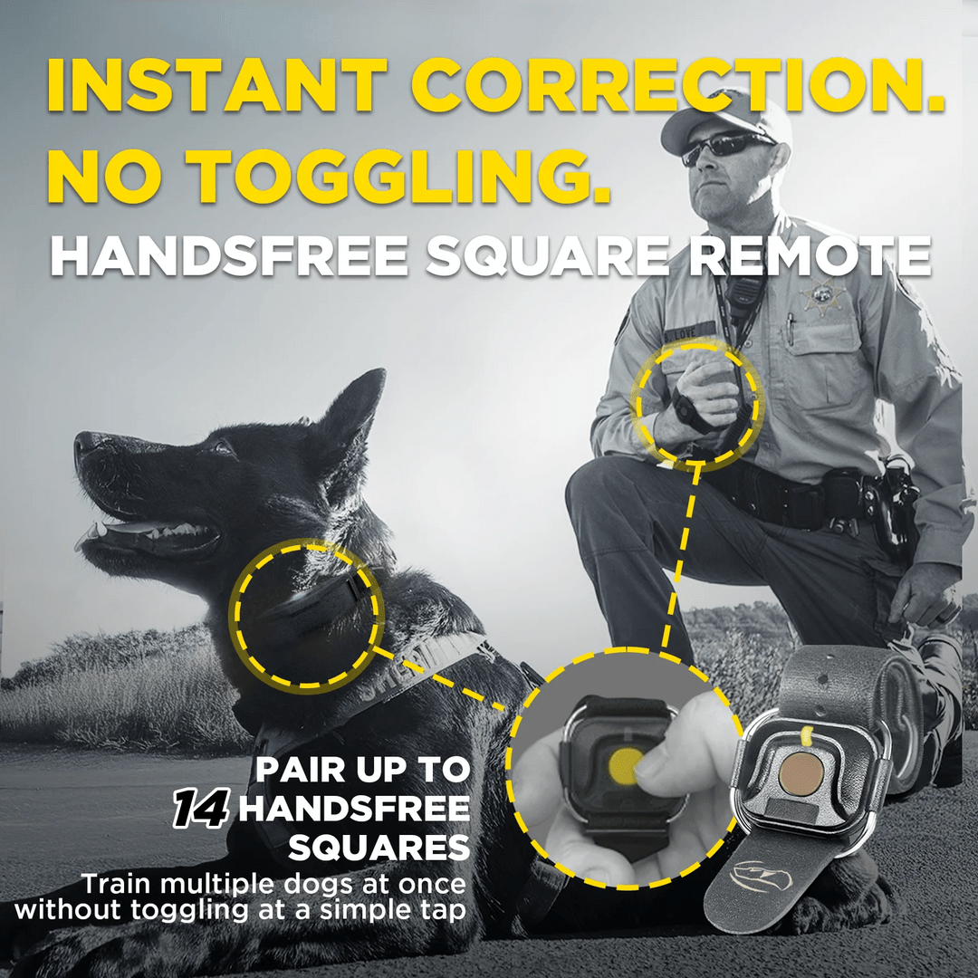 Dogtra 1900X Black Edition 1-Dog Unit - Sheepdog Microphones