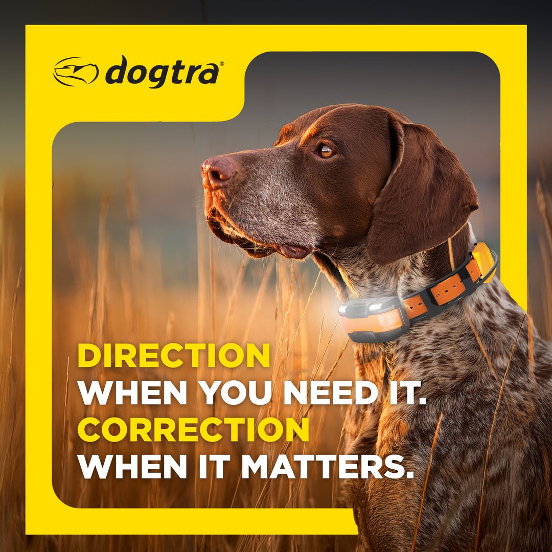 Dogtra PATHFINDER2 Compass - Sheepdog Microphones